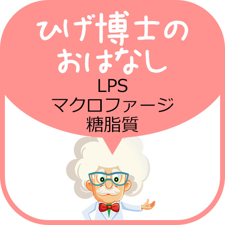 ひげ博士のおはなし