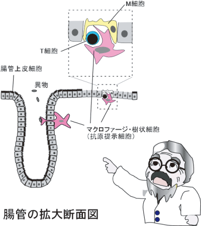 ひげ博士